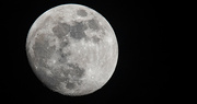 16th Dec 2021 - Almost Another Full Moon!