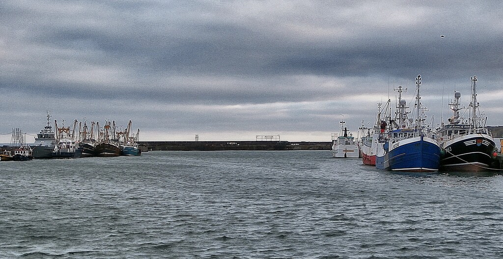 Newlyn Harbour..... by cutekitty