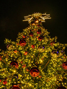 16th Dec 2021 - Christmas tree 