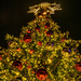 Christmas tree  by haskar
