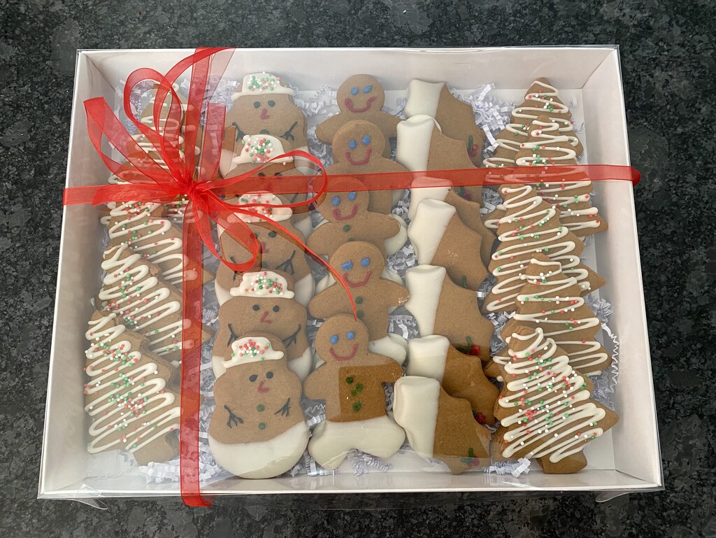 Gingerbread wrapped by nicolecampbell