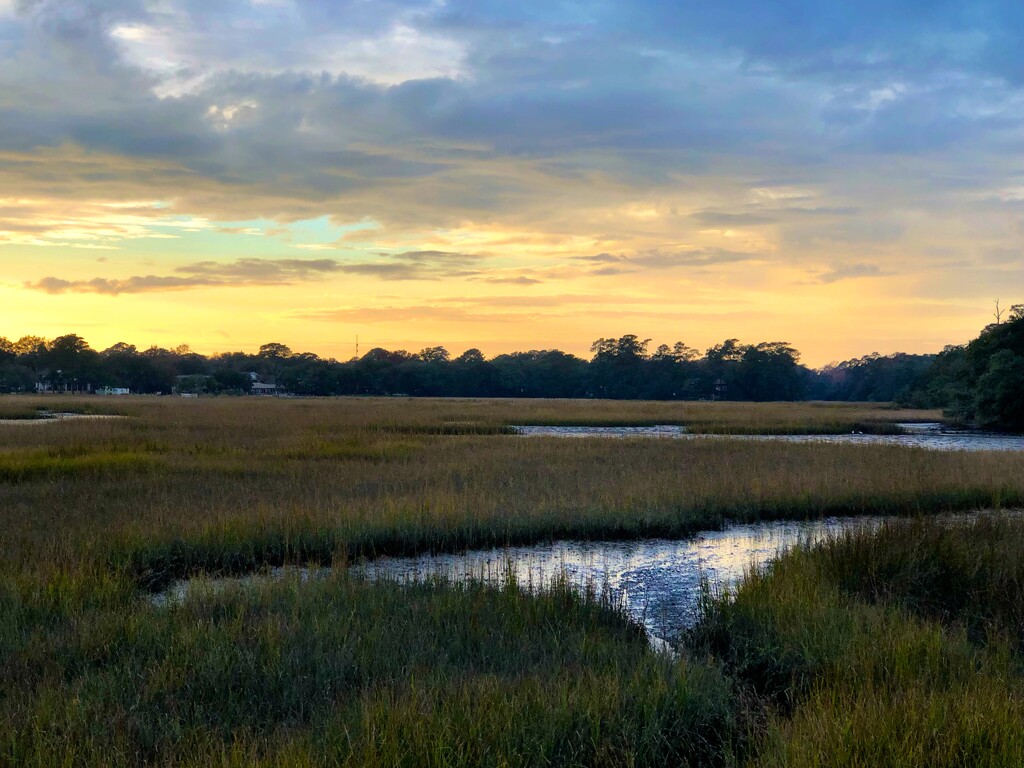 Marsh sunset by congaree