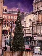 18th Dec 2021 - Christmas lights 