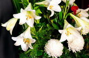18th Dec 2021 - White Lillies