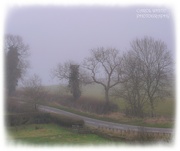 18th Dec 2021 - A Foggy Drive Home