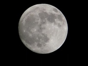 18th Jan 2011 - The Moon