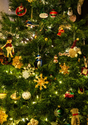 17th Dec 2021 - Our Christmas Tree