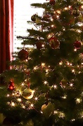 18th Dec 2021 - Christmas Tree