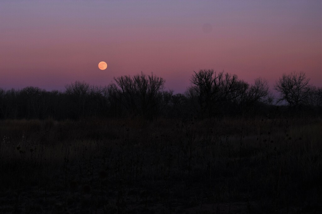 Moon rise as the sun sets. by sandlily