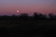 18th Dec 2021 - Moon rise as the sun sets.