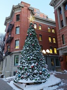 18th Dec 2021 - O Christmas Tree