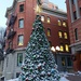 O Christmas Tree by bkbinthecity
