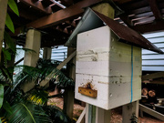 18th Dec 2021 - Bee-box