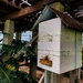 Bee-box by jeneurell
