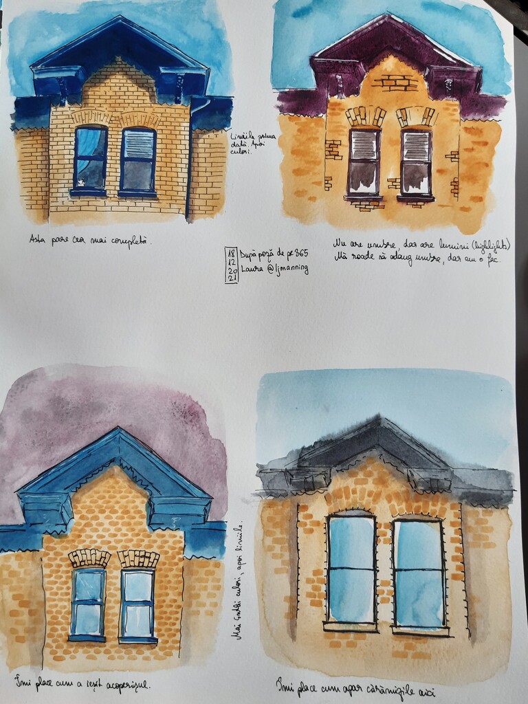 Laura's windows and roof by artsygang