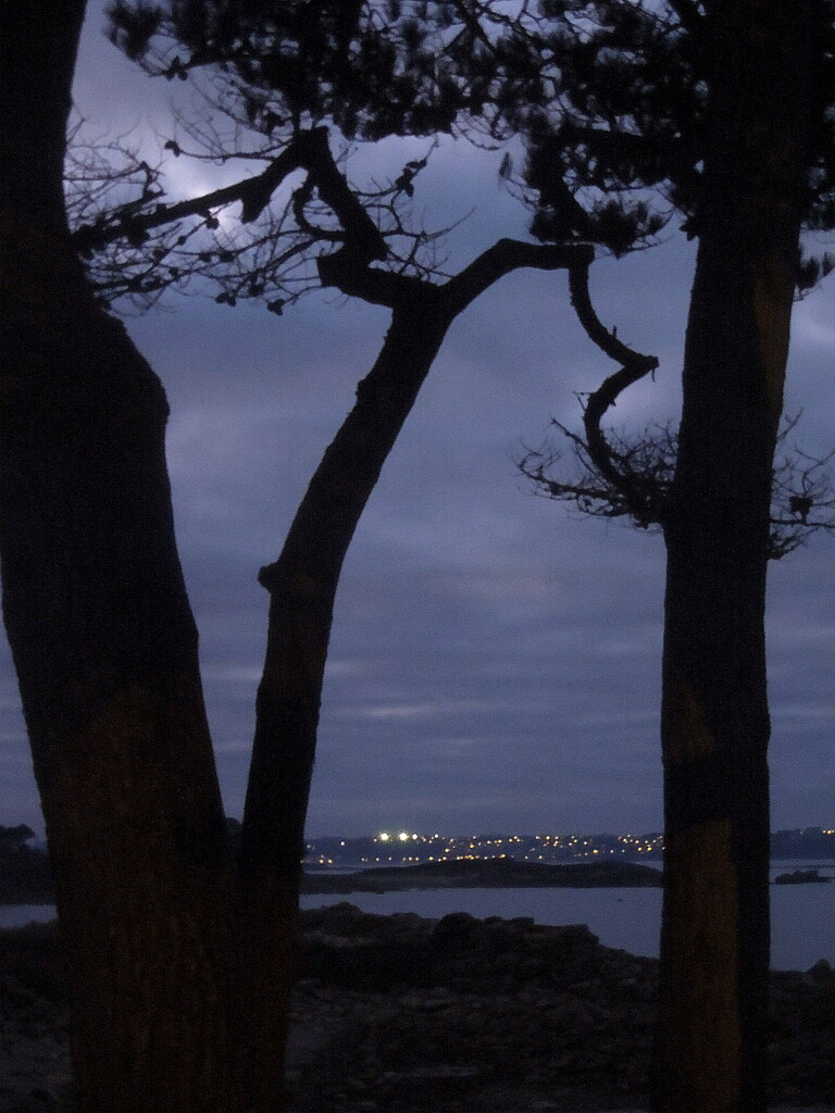 The lights of Perros-Guirec by etienne