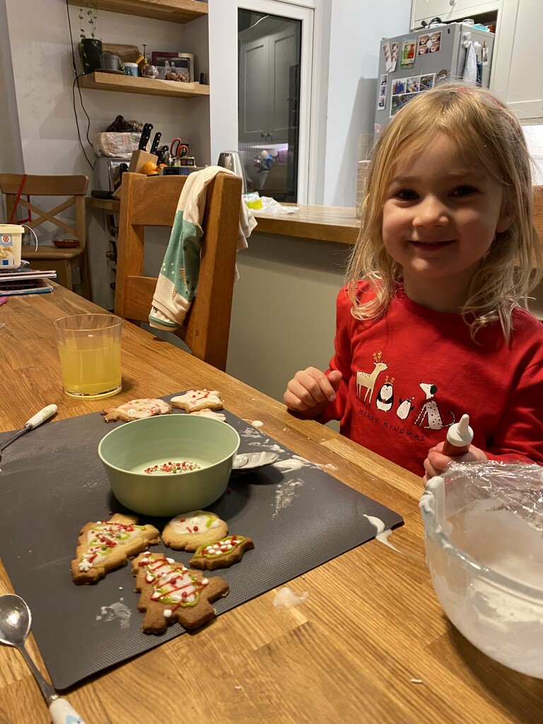 icing xmas biscuits by cam365pix