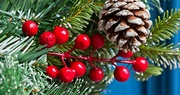 19th Dec 2021 - 19 Dec Close up wreath