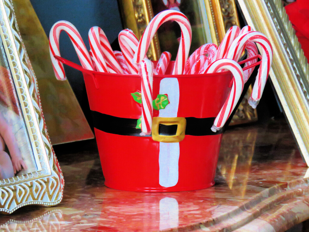 Candy Canes by seattlite