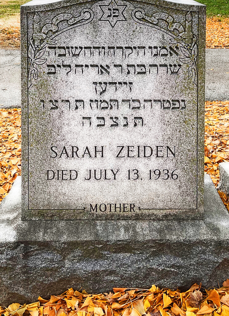 Sarah Zeiden Was My Great-Grandmother by yogiw