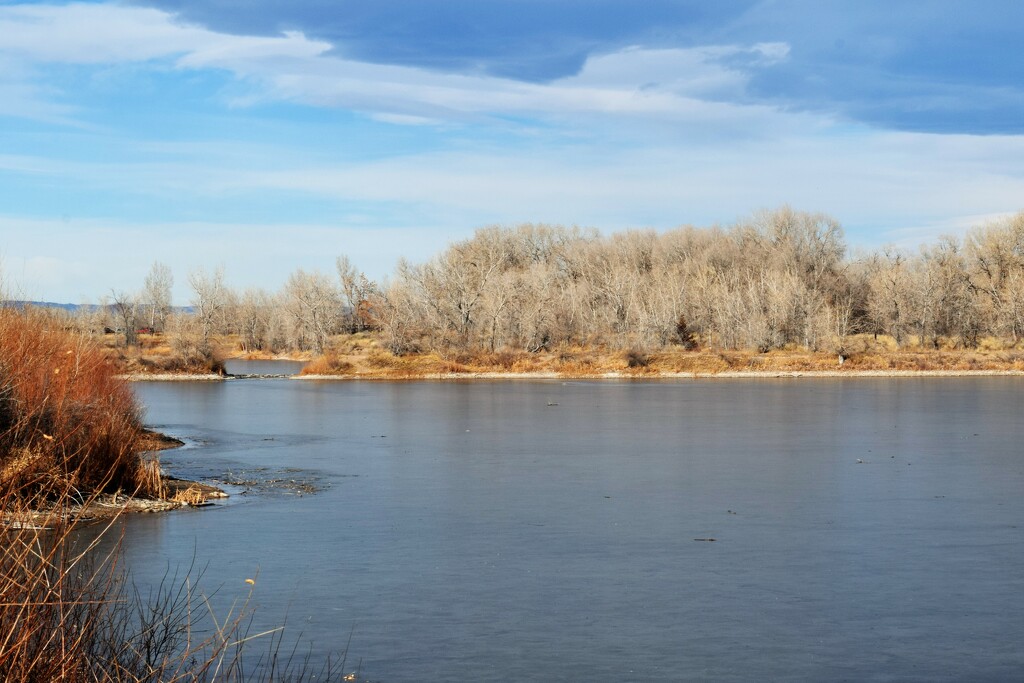 Arapahoe Bend Natural Area by sandlily
