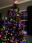15th Dec 2021 - Christmas tree 2021