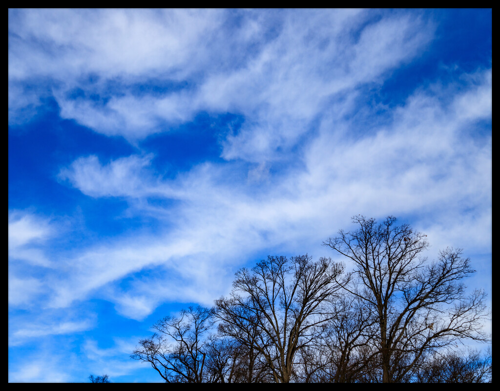 Winter Sky by hjbenson