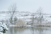 20th Dec 2021 - Winter Pond