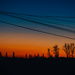 Telephone Line Sunset by manek43509