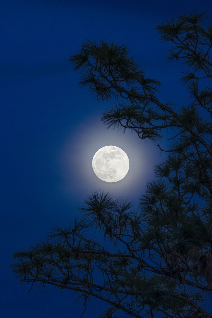 Cold Moon by kvphoto