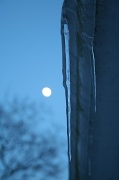 16th Jan 2011 - Winter's Chill