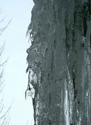 20th Jan 2011 - Jack Frost