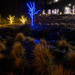 Christmas Lights at the S"Klallam Tribe Center by theredcamera