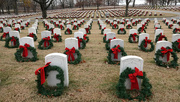 20th Dec 2021 - Christmas Time at the National Cemetery