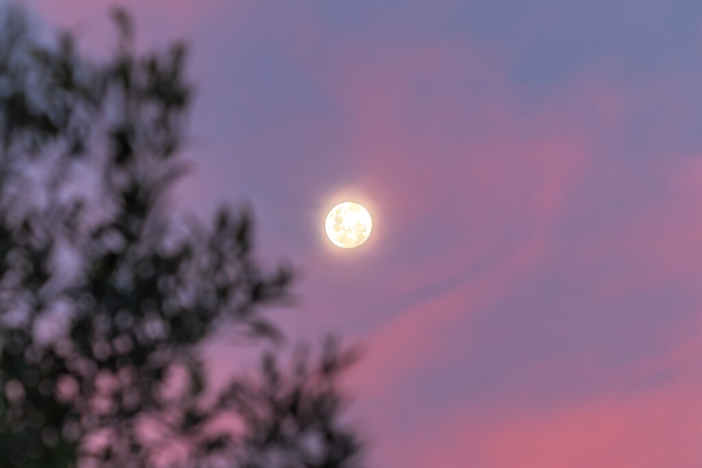 Full moon by ludwigsdiana
