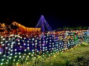 21st Dec 2021 - Christmas Lights