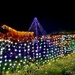Christmas Lights by gardenfolk