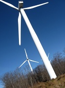 17th Jan 2011 - Wind Turbines