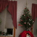 We settled on a small tree by bruni