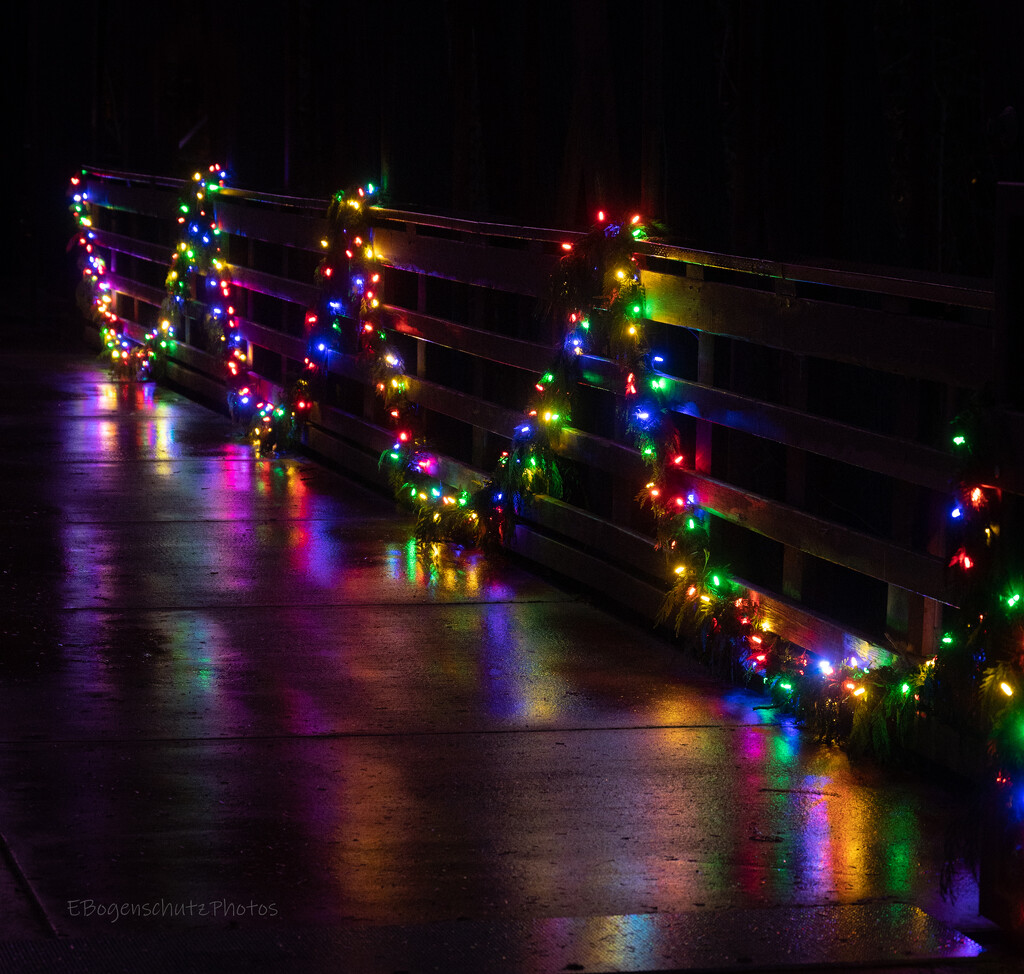 Lights on Railway Bridge by theredcamera