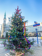 21st Dec 2021 - Christmas tree 