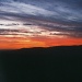Sunrise in Israel by olivetreeann