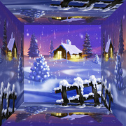 22nd Dec 2021 - Winter Christmas Mirror Box