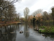 8th Dec 2021 - A Winters Day by the Pond