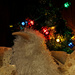 A White Kiwi Christmas by helenw2