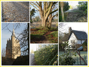 22nd Dec 2021 - This Morning’s Walk 