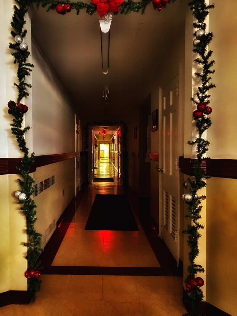Down the Hallway by njmom3