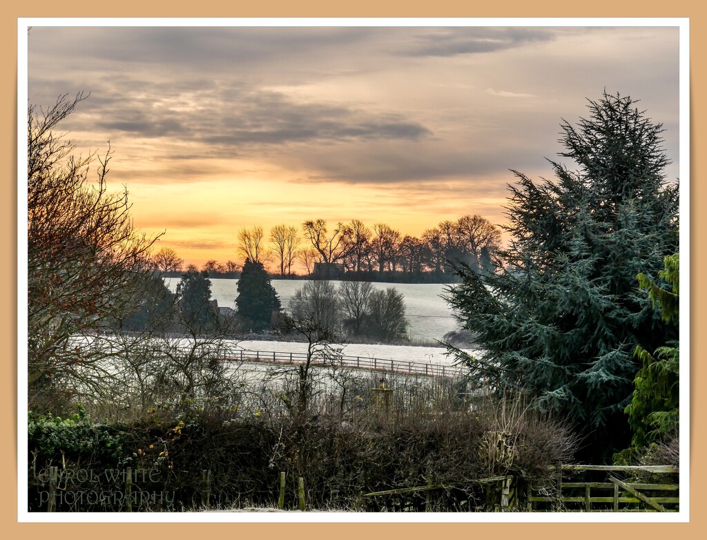 Frosty Morning,Upper Harlestone by carolmw
