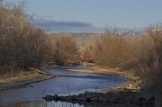 23rd Jan 2011 - 1-23-2011  Boise River, Eagle, ID