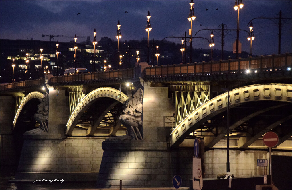 The lights of the Margaret Bridge by kork